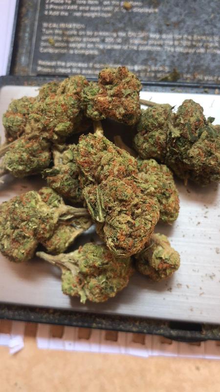 HOOKUP SEX AND SELL DRUGS 🍑🍑🍑🍑