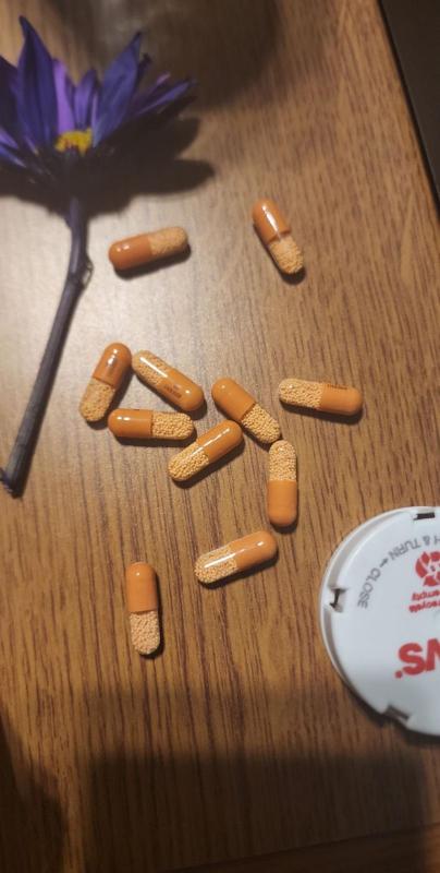 HOOKUP SEX ONLY